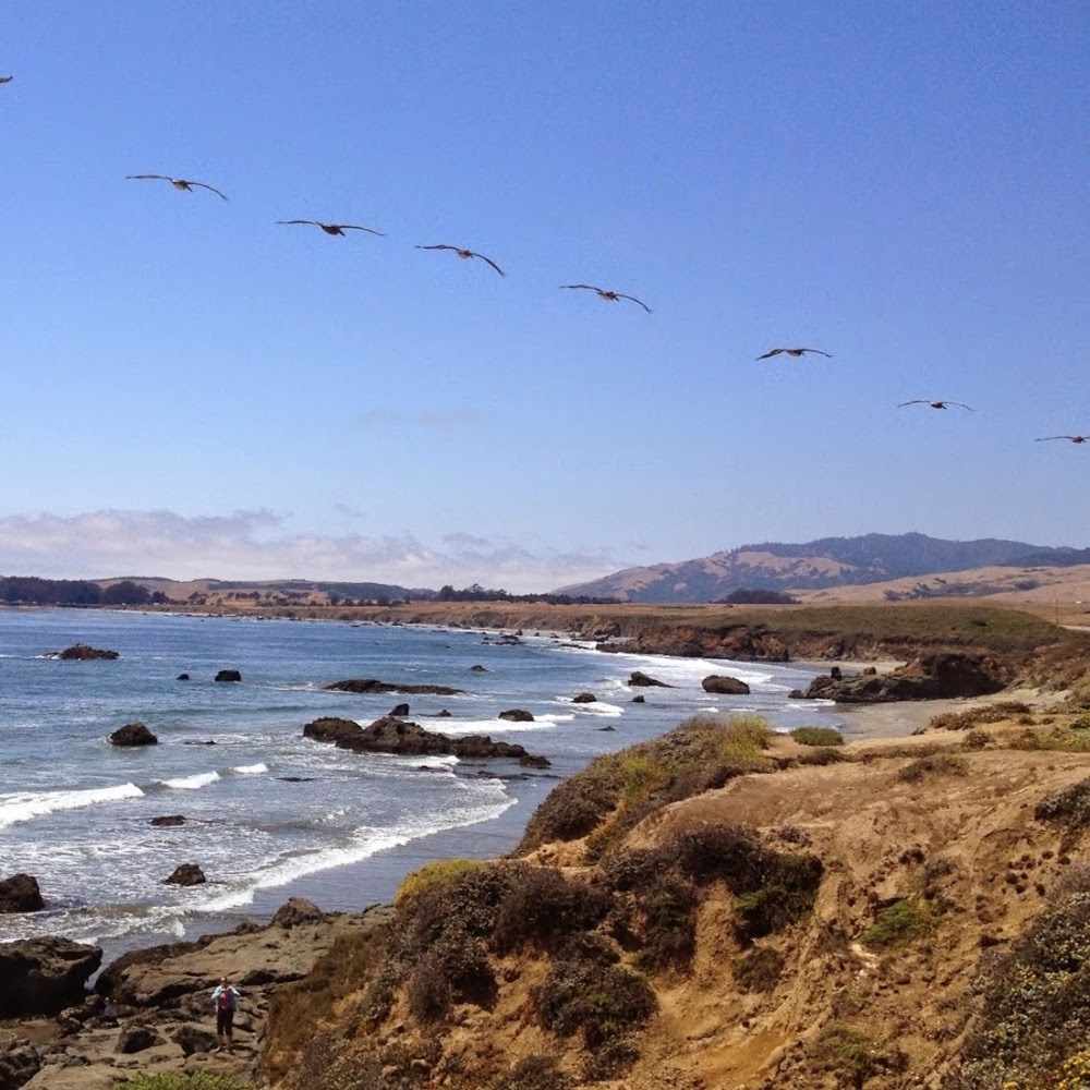 Meet your Posher, Chanel